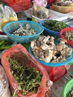 Oasis Pure Roaster Coffee And Healthy Juice