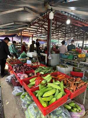 Oasis Pure Roaster Coffee And Healthy Juice