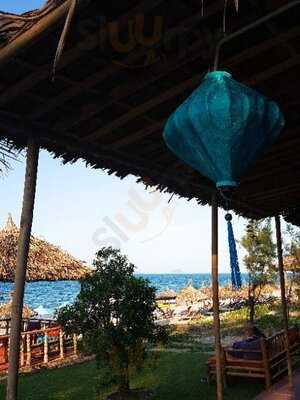 Dolphin Kitchen & Bar