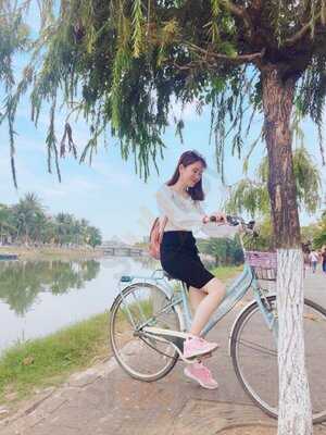 The Bird House Hoian