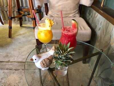 The Bird House Hoian