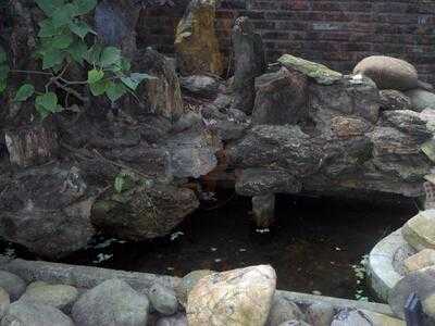 Chuồn Chuồn Ớt Cafe