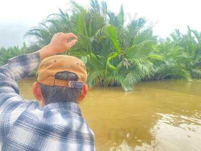 Breeze Restaurant And Basket Boat