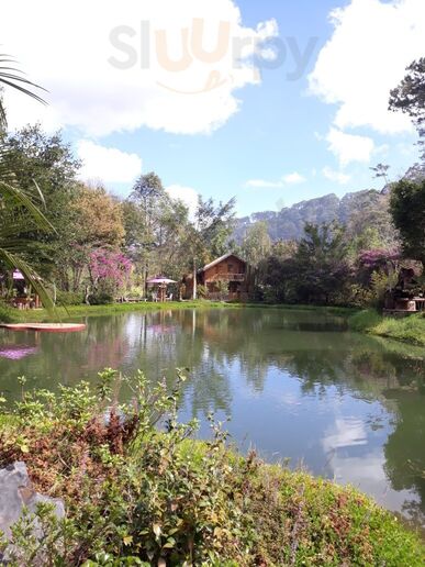 Ma Rừng Lữ Quán