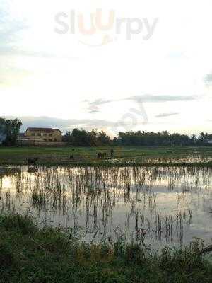 Garden Restaurant And Bar