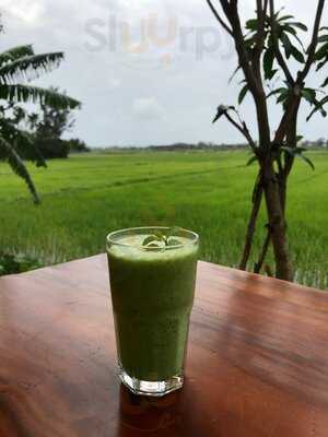 Xoai Macrobiotic Living