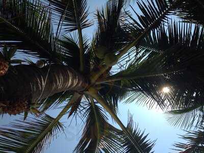 Nhà Hàng Biển Gọi