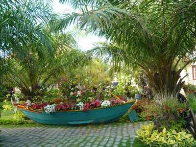 Số 99 Chợ Đêm Mũi Né