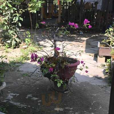 Nhà Hàng & Cà Phê Windy