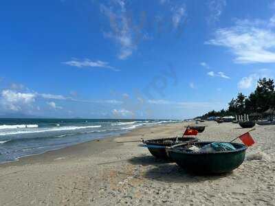 Tree Coconut Beach Restaurant