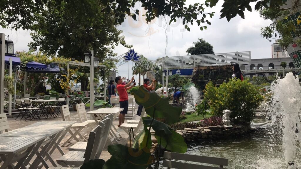 Café Lotus Ninh Kiều