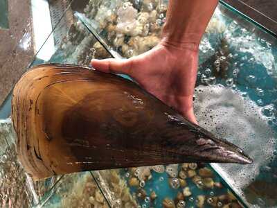 Nhà Hàng Lê Gia 1