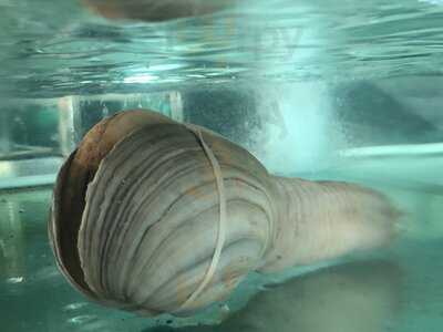 Nhà Hàng Lê Gia 1