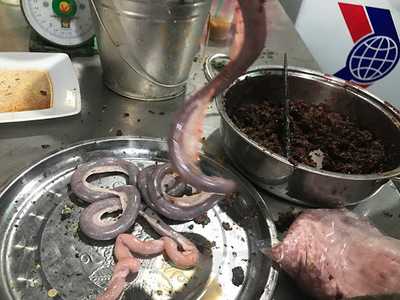 Nhà Hàng Thống Gia