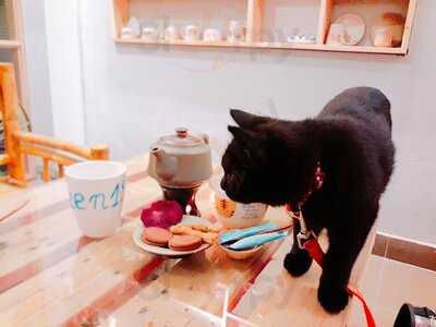 Zen19 Tea & Coffee House