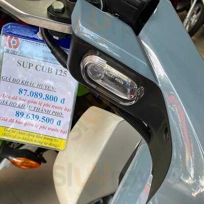 The Hidden Elephant Books & Coffee