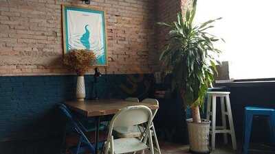 The Hidden Elephant Books & Coffee