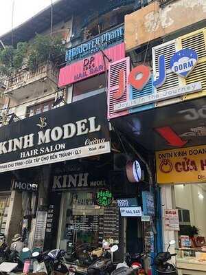 The Hidden Elephant Books & Coffee