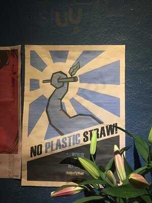 The Hidden Elephant Books & Coffee