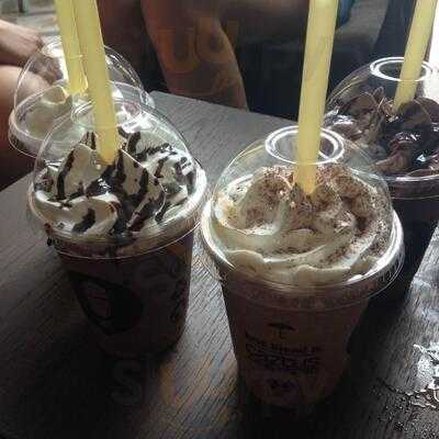Caztus Ice Blended