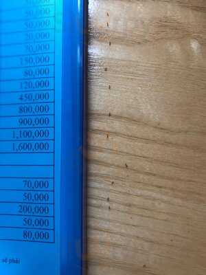 Green Island Hoi An Villa Restaurant & Bar