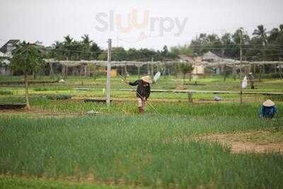 Om Cafe & Restaurant