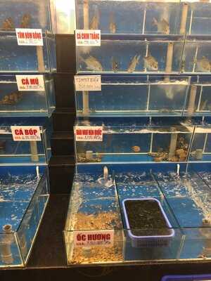 Hải Sản Gia Linh