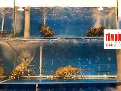 Hải Sản Gia Linh