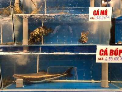 Hải Sản Gia Linh