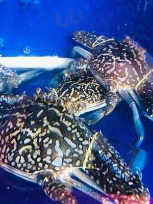 Quán Nhậu Xích Lô