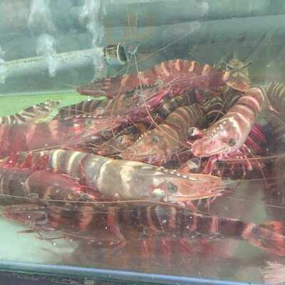 Nhà Hàng Bếp Việt