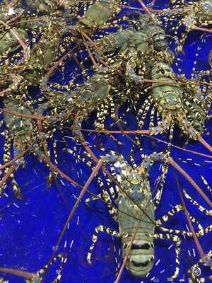 Nhà Hàng Danabeach