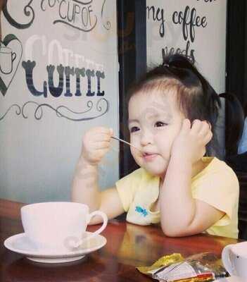 Quán Cà Phê Sen Đá