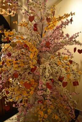 Cô Nguyễn Kitchen