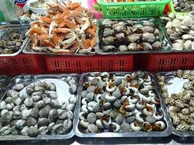 Ca Mau - Jardin D'amour