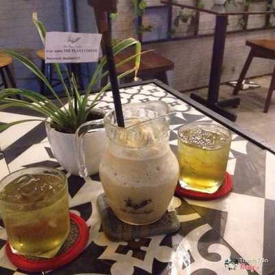 Quán Cafe The Plant