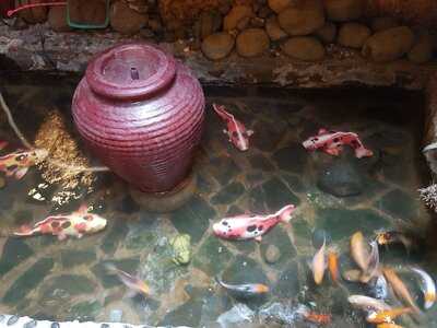 Nhà Hàng Di Sản Việt