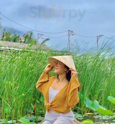 Ẩm Thực Sinh Thái Sen Nam Bộ