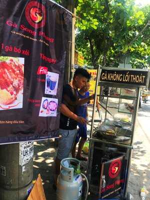 Gà Song Phụng - Gà Không Lối Thoát