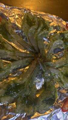 Quán Nhậu 3 Cô Tiên