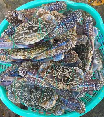 Nhà Hàng Thế Giới Hải Sản