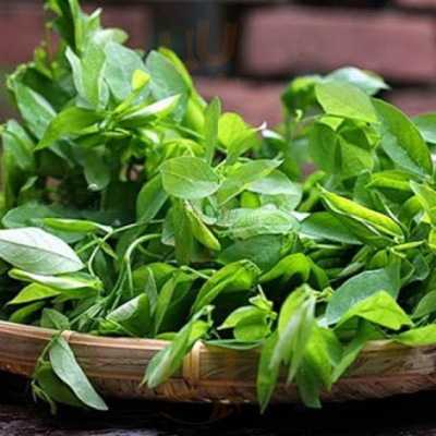 Nhà Hàng Hoa Biển