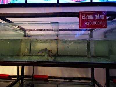 Nhà Hàng Hải Sản Sabaku