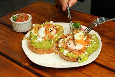 Bikini Bottom Express