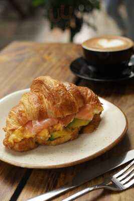 Bikini Bottom Express