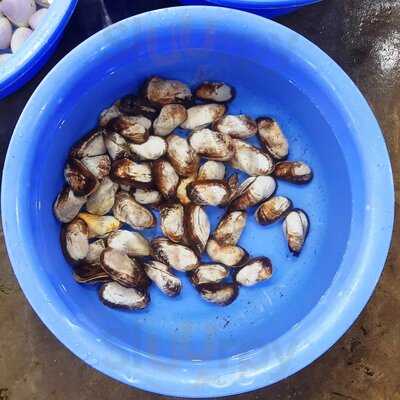 Hải Sản Tươi Sống Bé Nhỏ