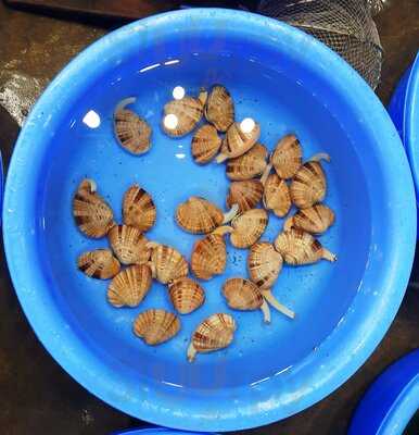 Hải Sản Tươi Sống Bé Nhỏ