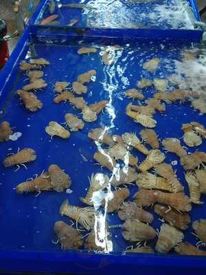 Nhà Hàng Phương Anh