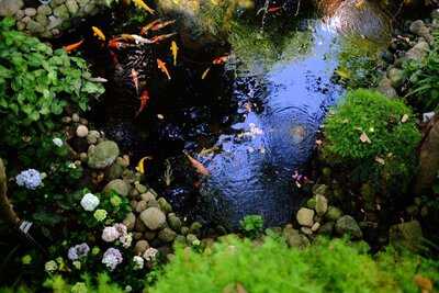 Moc Mien Garden Coffee