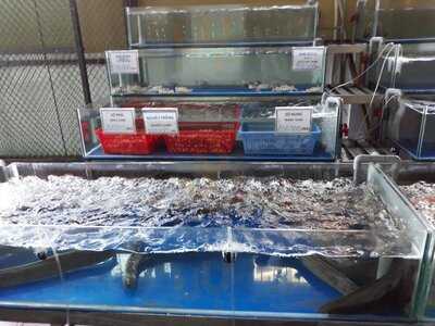 Nhà Hàng Cánh Buồm Xanh